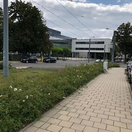 Ludwig